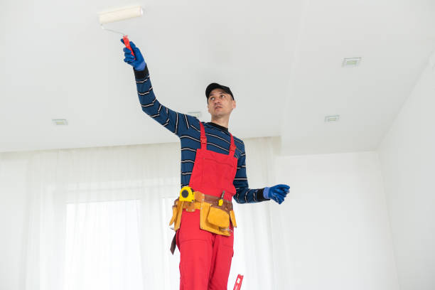 Trusted Guin, AL Mold Removal Experts